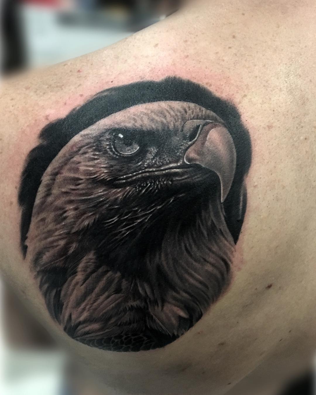 Tatuaje realista de águila